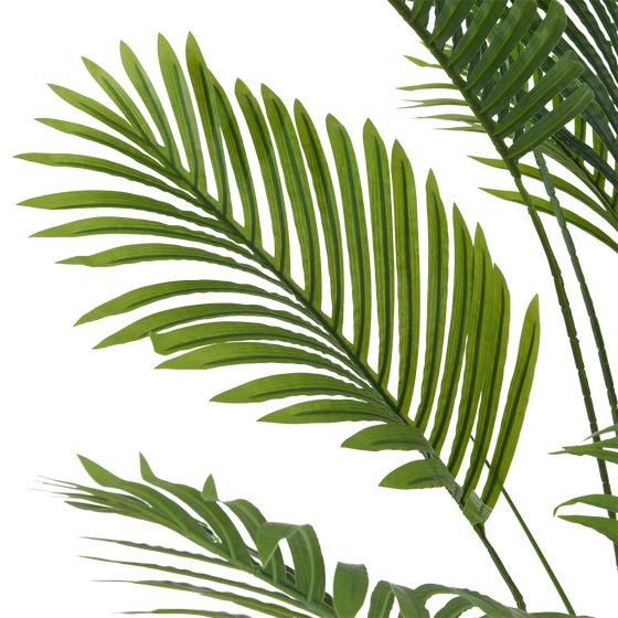 Palm leaf detail 2