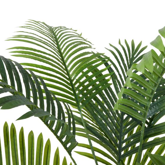 Palm leaf detail 1
