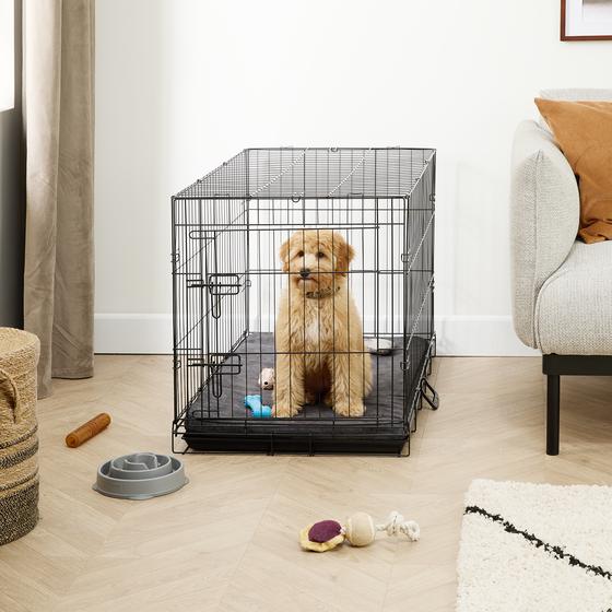 Cage d'intérieur pour chien XL dans un salon