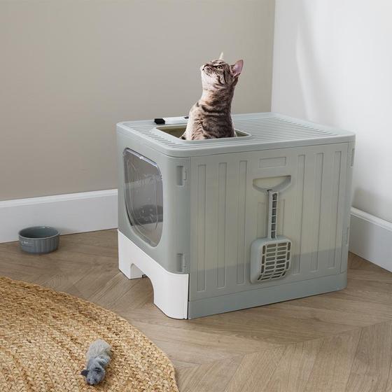 Cat in litter box