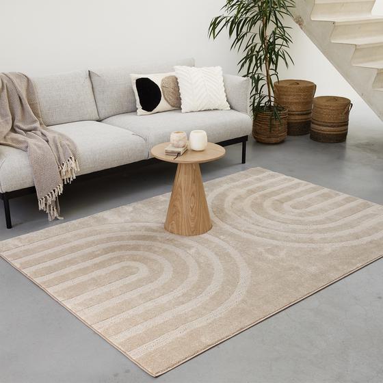 Tapis taupe 160 x 230 cm dans un salon