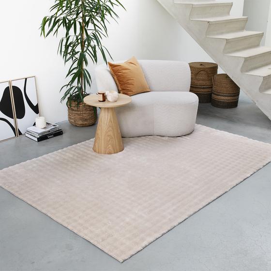 Tapis crème isolant dans un salon