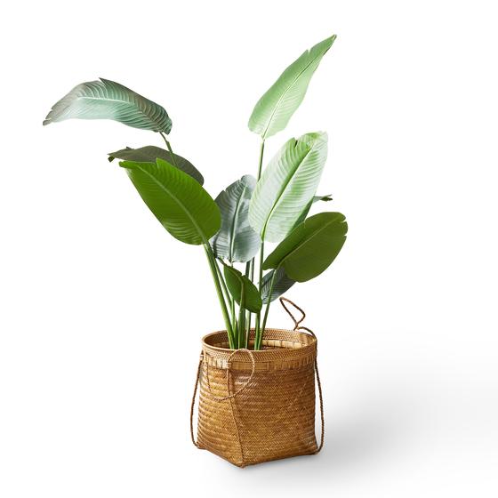 Lifa Living kunstplant Strelitzia in mand