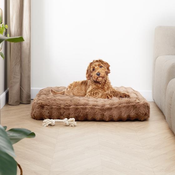 Pompom Fur dog cushion - with dog
