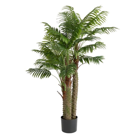 Realistic palm with 3 trunks