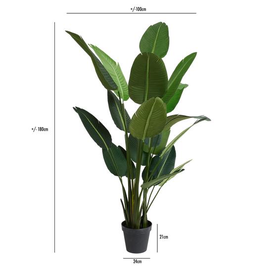 Artificial strelitzia plant XXL - dimensions