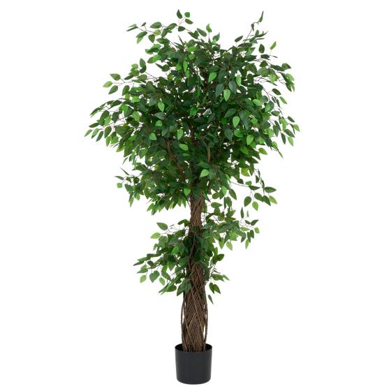 Grote kunstficus 1