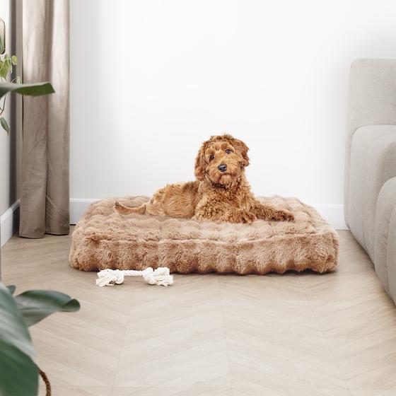 Pompom Fur hondenkussen in gebruik in de woonkamer