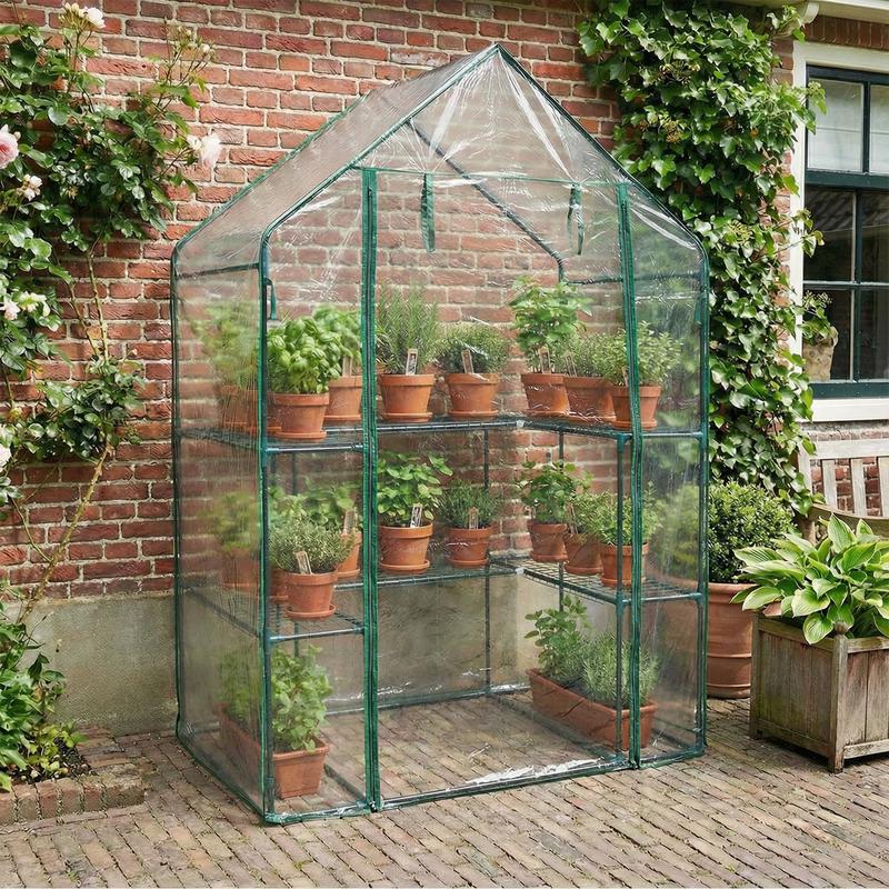 Garden greenhouse with plants