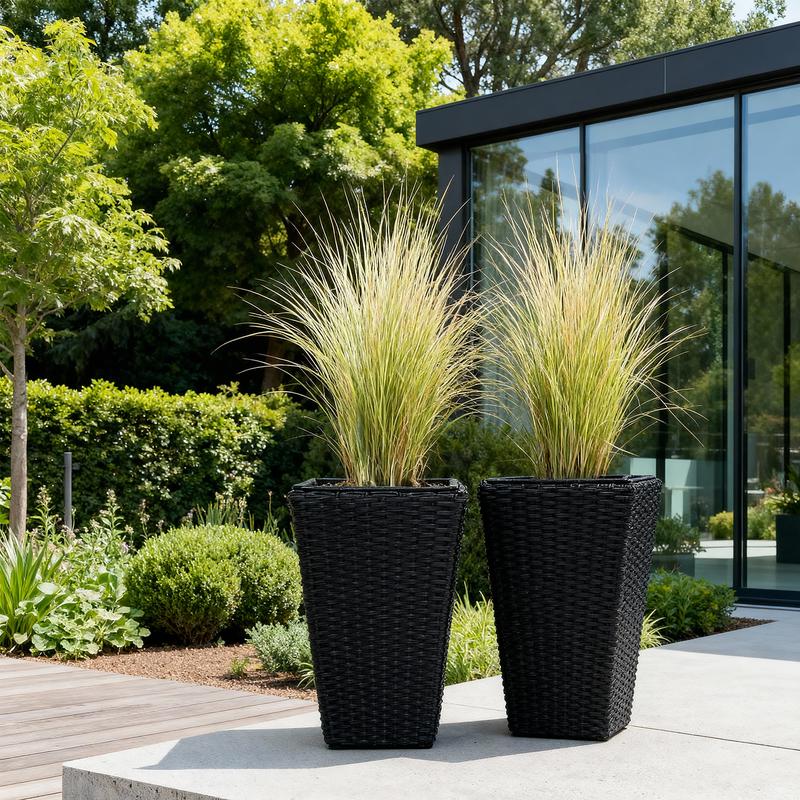 Set of 2 plant pots - black - lifestyle image with plants