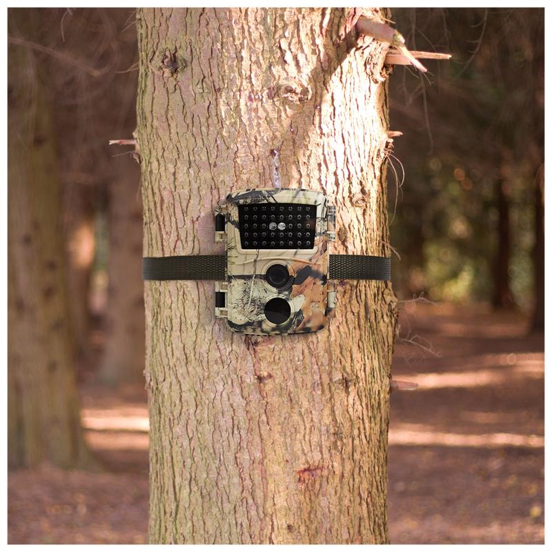 Caméra de chasse HD in situ