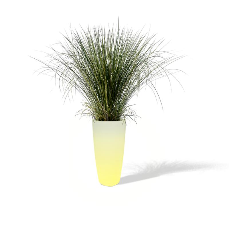 Flower pot with LED lights - with plant