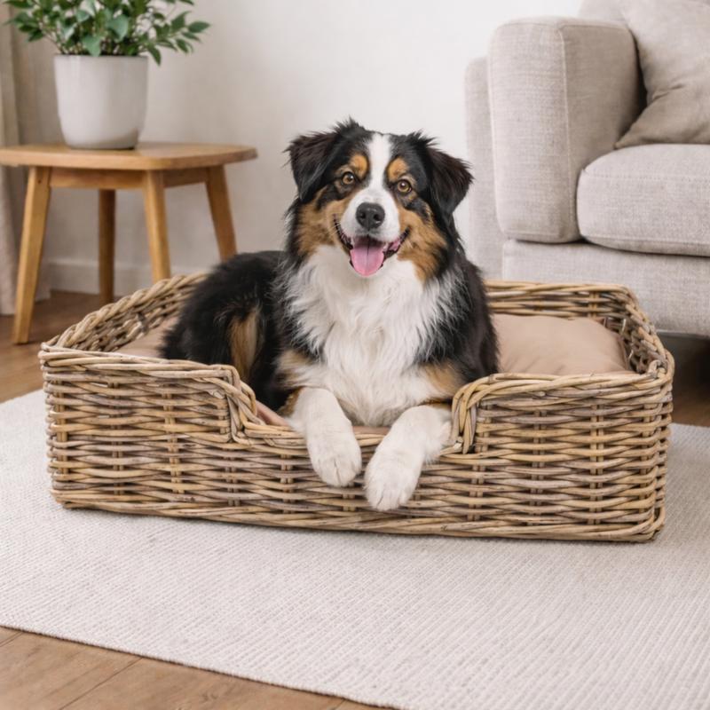 Panier pour chien avec coussin