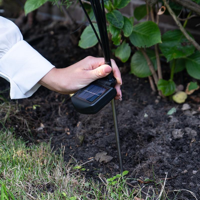 Stick Firefly in the ground with the skewer