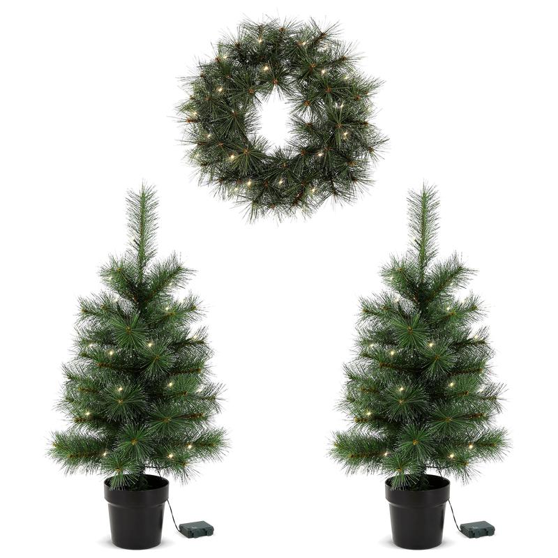 2 Christmas trees and 1 wreath