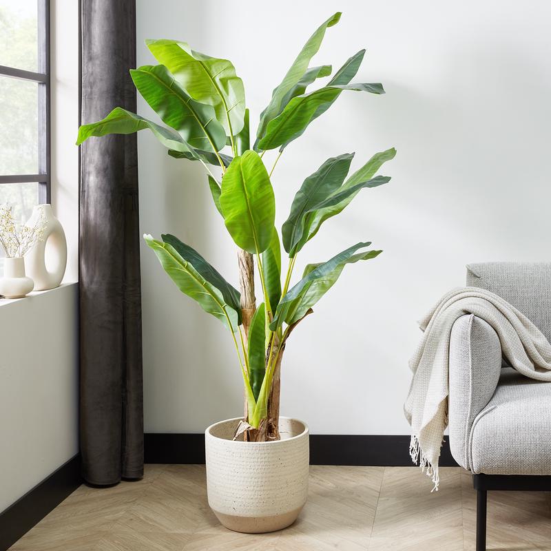 Lifa Living artificial banana plant in livingroom