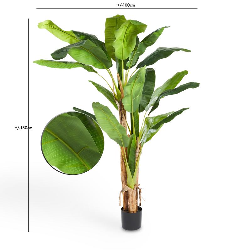 Artificial banana plant measurements