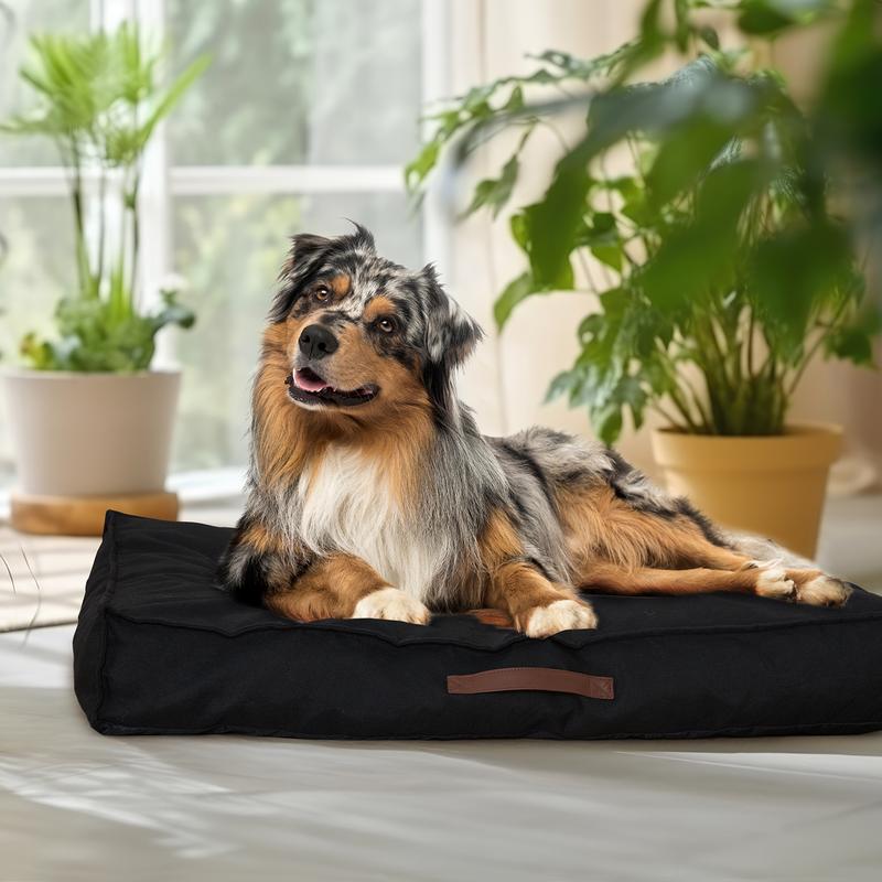 Chien allongé sur le coussin pour chien noir