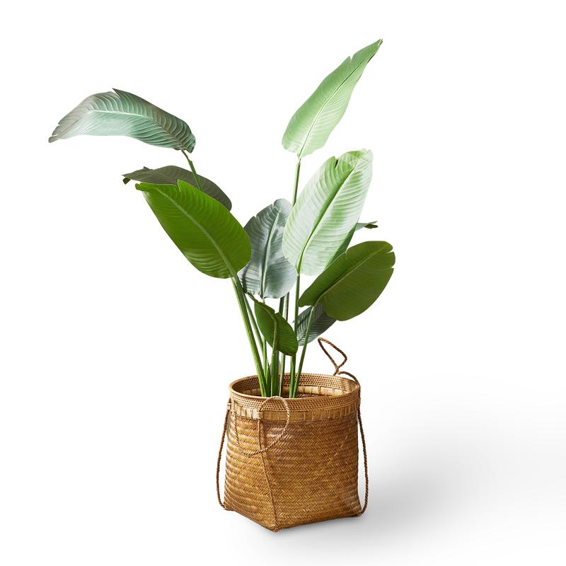 Plante artificielle dans un cache-pot (non inclus)