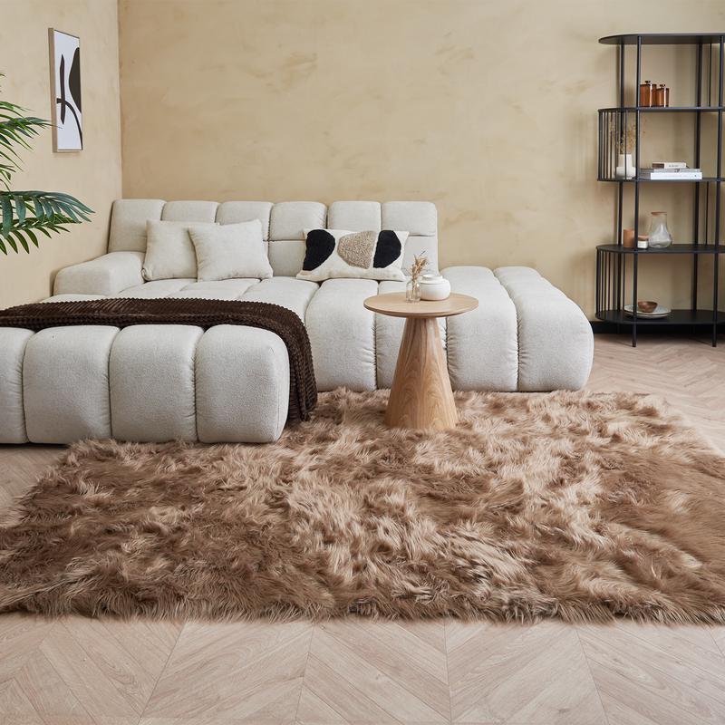 Brown high-pile rug in living room