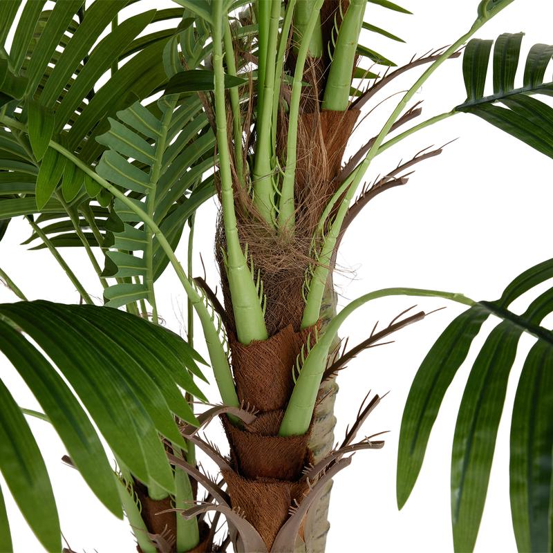 Realistic palm - close-up of trunk