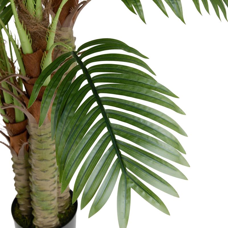 Realistic palm - close-up of leaf